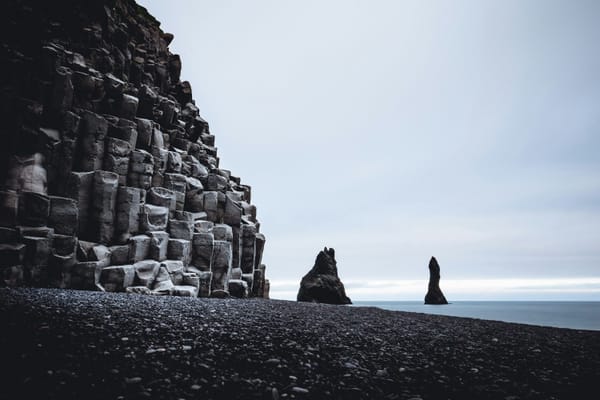 Reynisfjara hagnaðist um 33,5 milljónir – tekjur hækkuðu um 9%